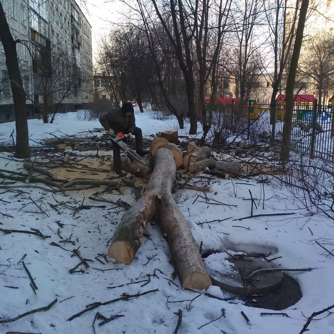Профессиональная валка и спил деревьев в Санкт-Петербурге и Ленинградской области